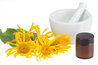 Arnica