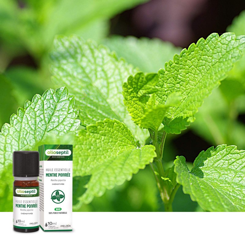 OLIOSEPTIL® HUILE ESSENTIELLE MENTHE POIVRÉE OLIOSEPTIL® HUILE ESSENTIELLE MENTHE POIVRÉE