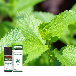 OLIOSEPTIL® HUILE ESSENTIELLE MENTHE POIVRÉE OLIOSEPTIL® HUILE ESSENTIELLE MENTHE POIVRÉE