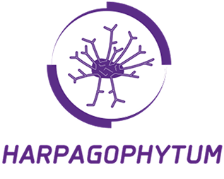 Harpagophytum